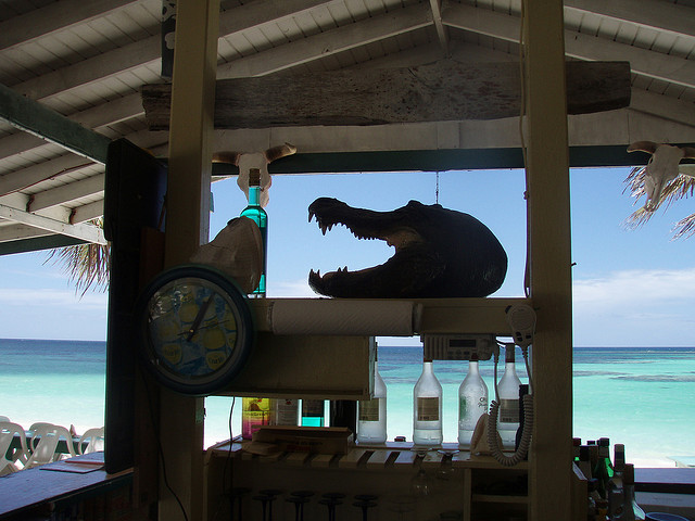 anegada-cowreckbeach anegada-cowreckbeach
