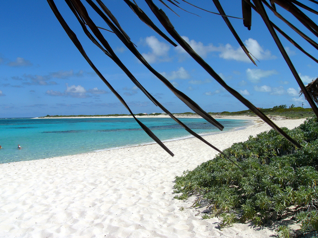 anegada-loblolly-beach anegada-loblolly-beach