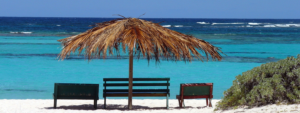 anegada-loblolly-beach2