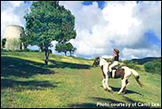 stx-horse-back-riding