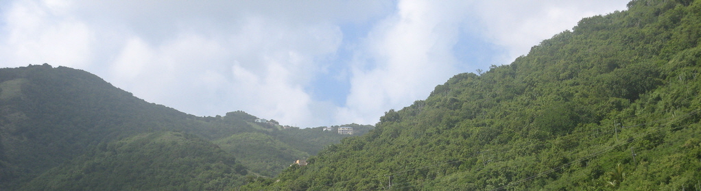 tortola-nannycay